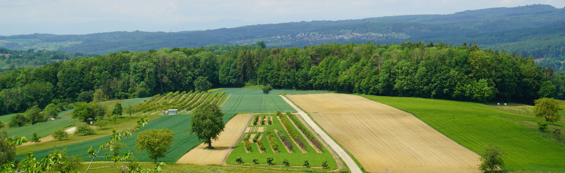 Ausblick von der hohen Flum auf den Landkreis